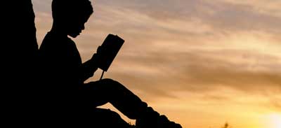 Boy Reading Under a Tree at Sunset